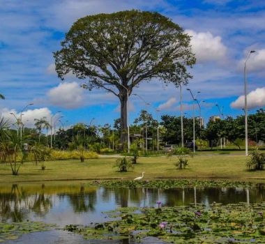 Imagem - Parque do Utinga bate recorde histórico de visitação em um único dia em Belém