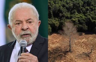 STF diz que governo Lula cumpriu 'parcialmente' plano contra desmatamento na Amazônia