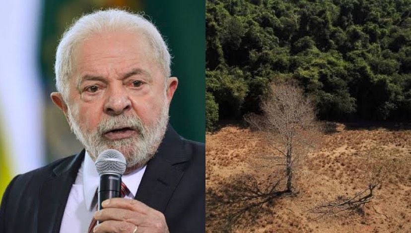 Mendonça, relator da ação, considerou que a gestão Lula não cumpriu "vários aspectos da decisão", persistindo "graves e notórios problemas na gestão ambiental".