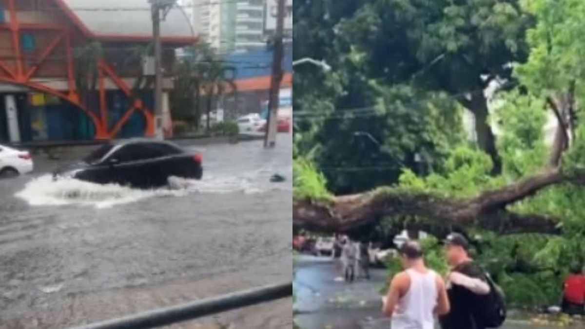 Chuva provoca alagamentos e queda de árvore congestionando vias em Belém