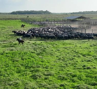 Imagem - Produtores rurais do Marajó tem até o dia 30 para atualizarem seu cadastro