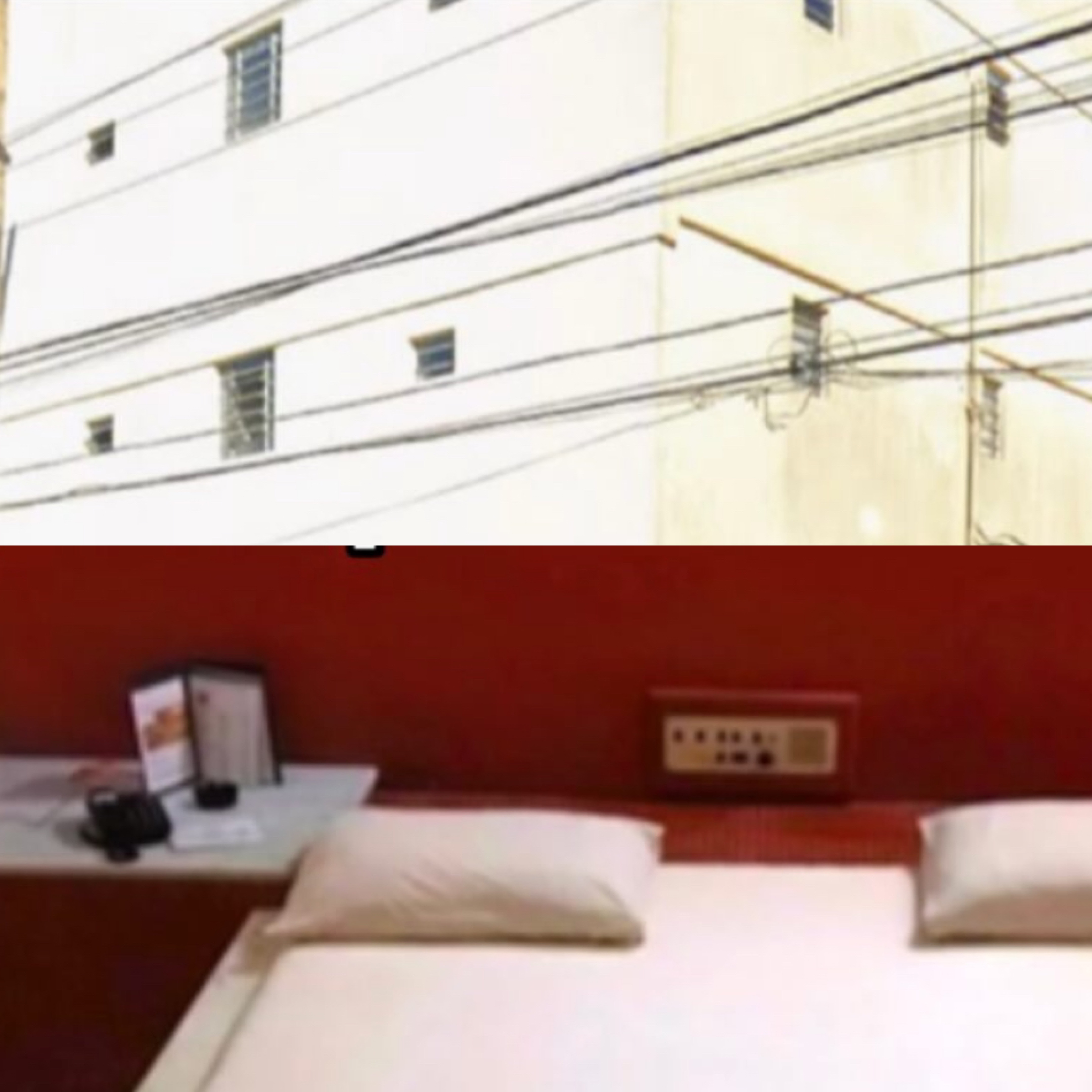 Reprodução 