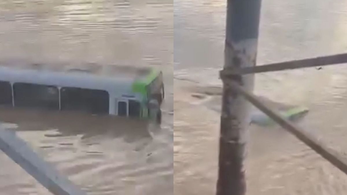 Ônibus cai no Rio Amazonas após travessia de balsa em Santarém