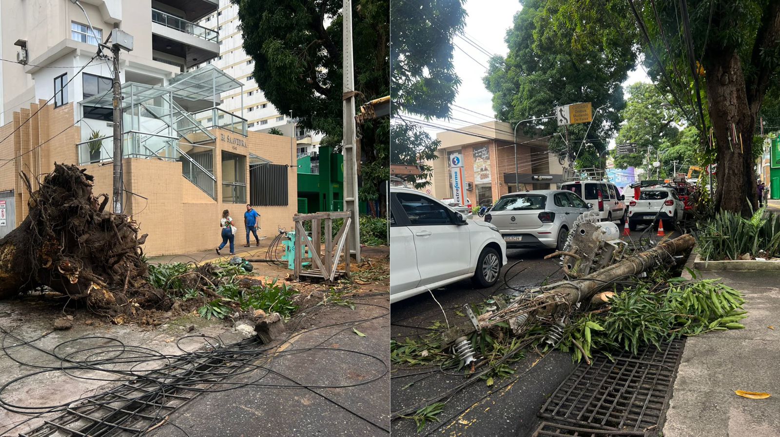 Imagem - Vídeo: trânsito é interditado na José Malcher após queda de Mangueira nesta terça, em Belém