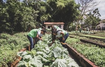 IFPA lança agenda de projetos e divulgações científicas para COP30