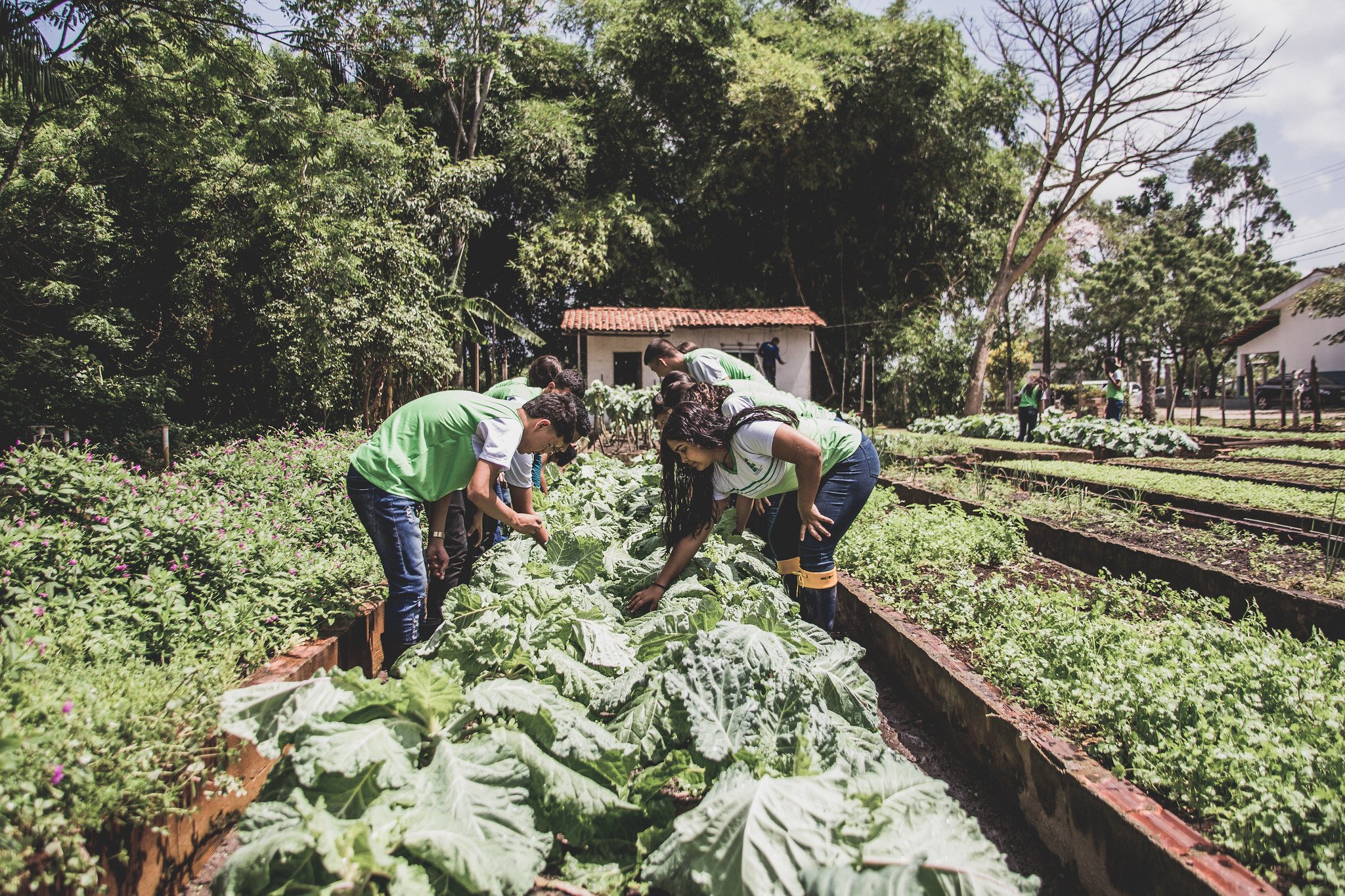 (O evento que vamos promover no IFPA no dia 5 de fevereiro pretende apresentar e divulgar os projetos de sustentabilidade desenvolvidos pela instituição.)