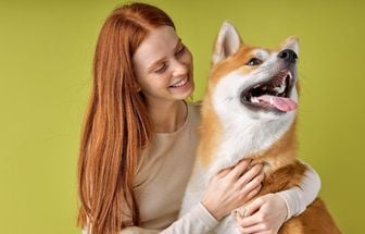 7 semelhanças entre humanos e cachorros 