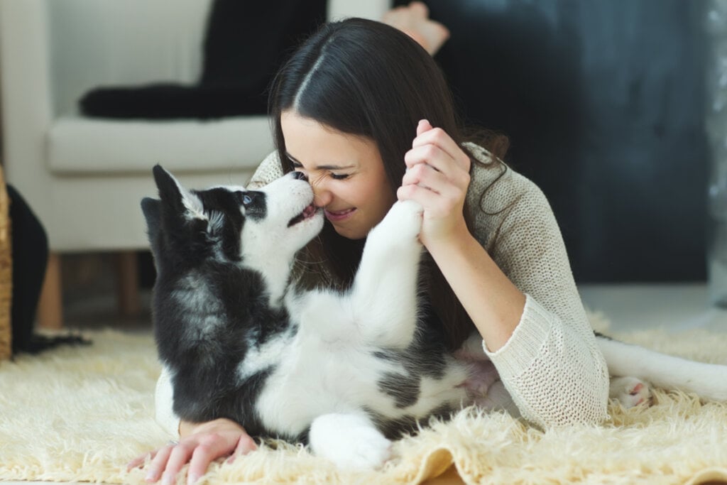 Os cães também podem sentir ciúmes dos tutores (Imagem: Nina Buday | Shutterstock)