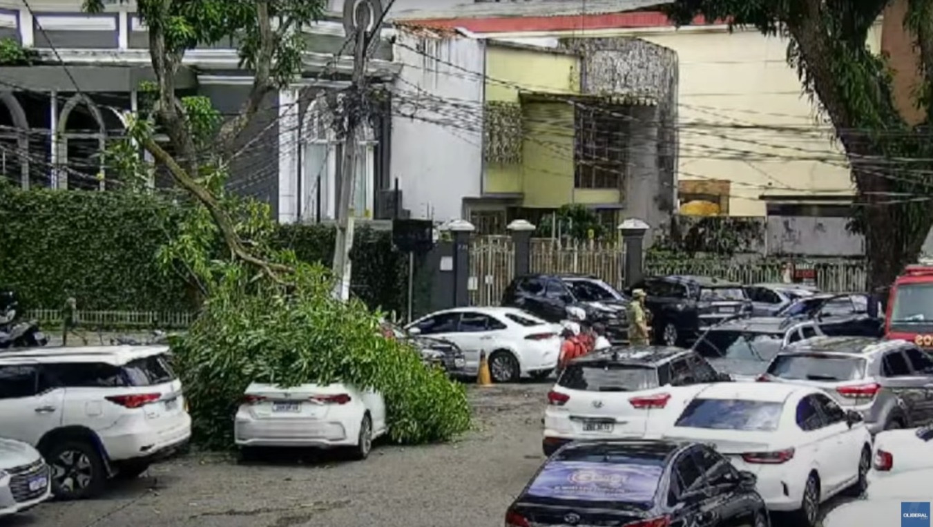 Imagem - Galho de árvore cai e atinge carros na Nazaré, em Belém