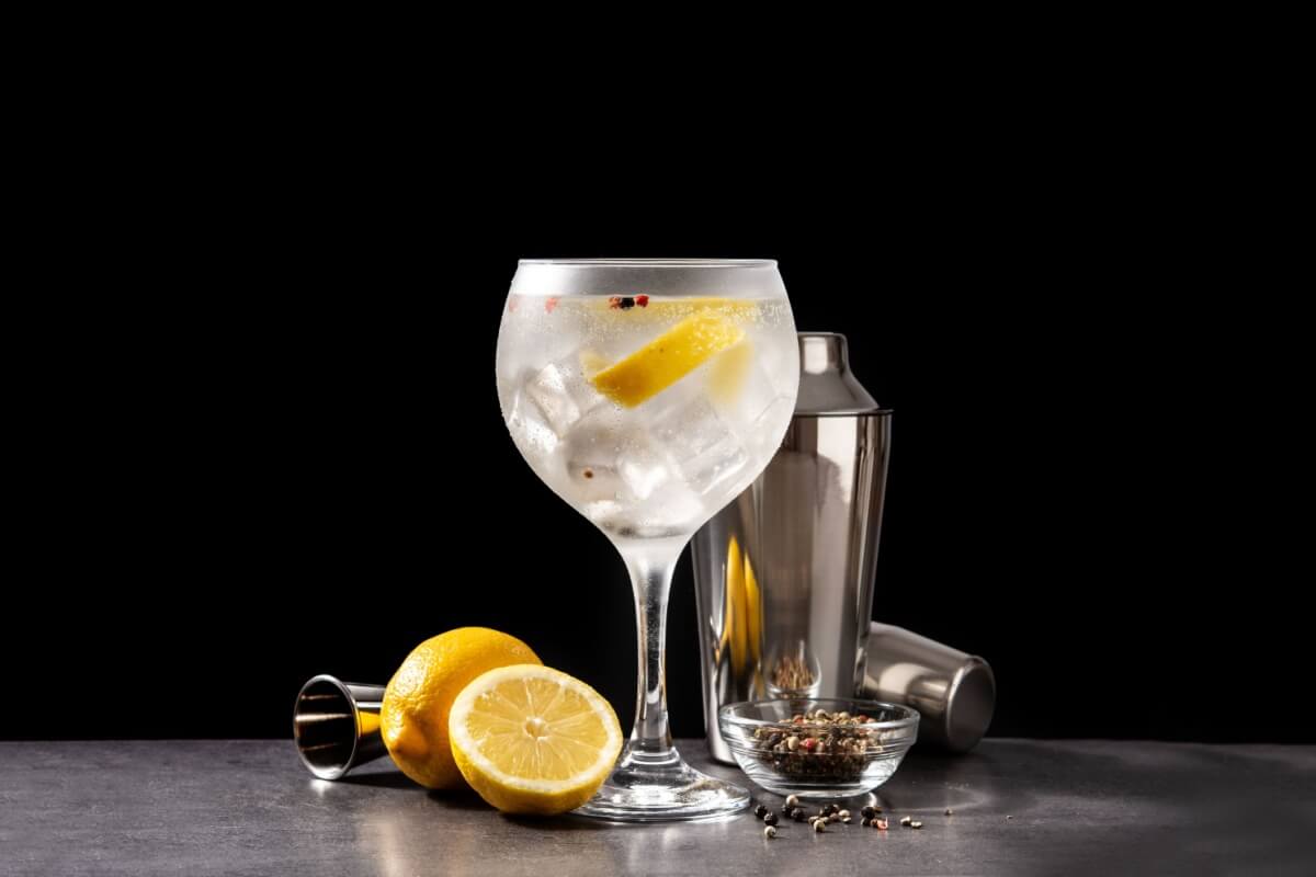 Gin tropical (Imagem: etorres | Shutterstock)