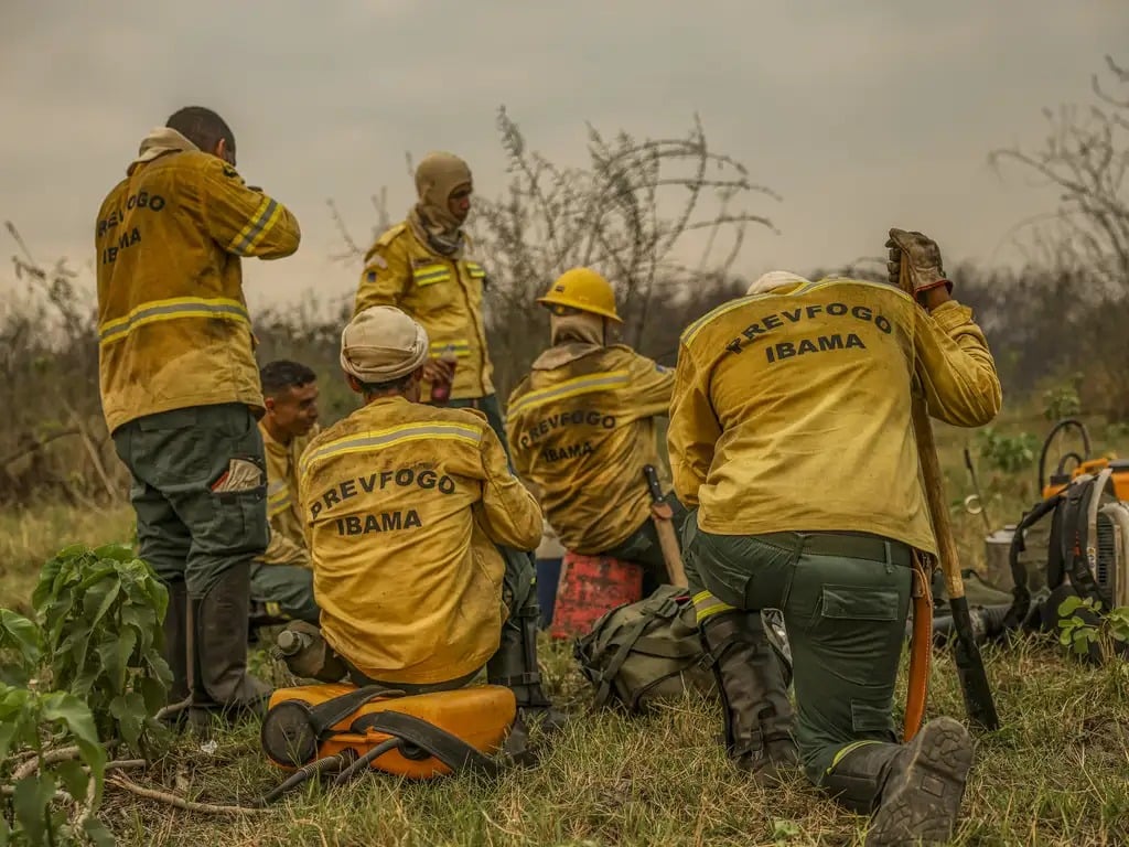 Imagem - Decreto de Trump suspense parceria entre EUA e Brasil para combate a incêndios florestais