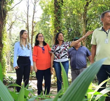 Imagem - Em ano de COP30, 'Granja Modelo' garante ampliação da arborização em Belém