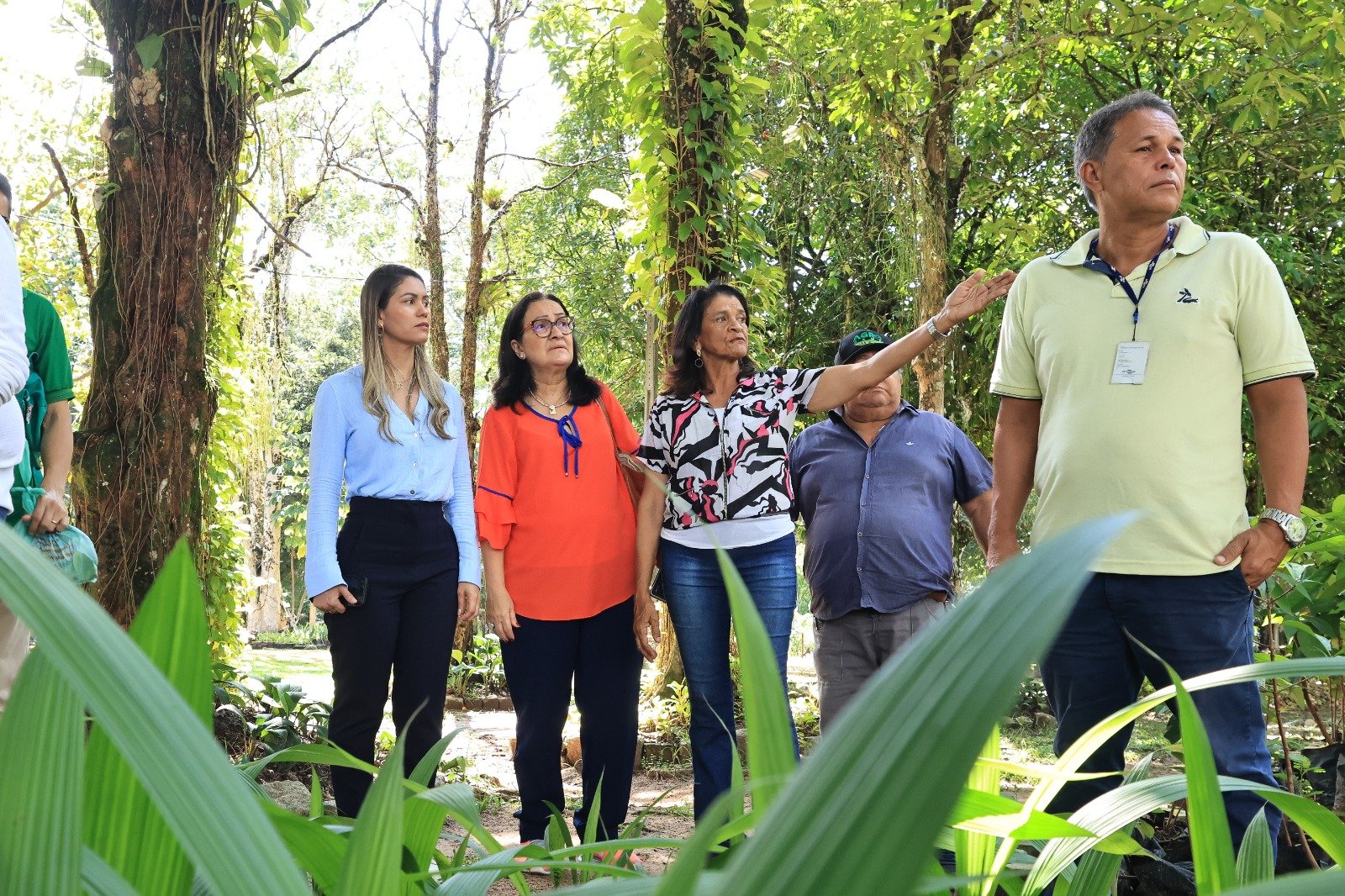 Trabalho pretende deixar Belém ainda mais verde.