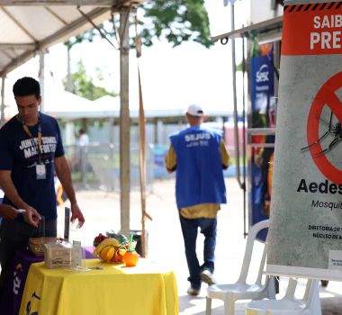 Imagem - Casos de dengue no Brasil caem 60% nas primeiras semanas do ano