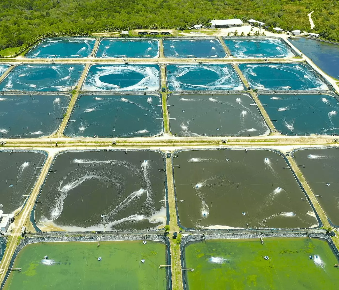 Sistemas de Aquicultura são tema de debates