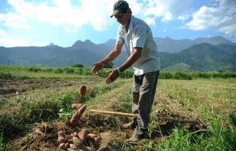 Desenrola rural prevê descontos de até 96% em dívidas de agricultores