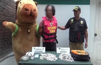 Policial disfarçado de capivara prende suspeito de tráfico no Peru; assista