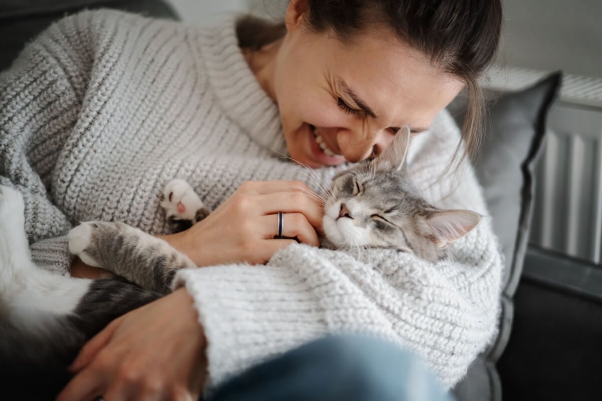 Imagem - Veja as causas e os sintomas da esporotricose felina