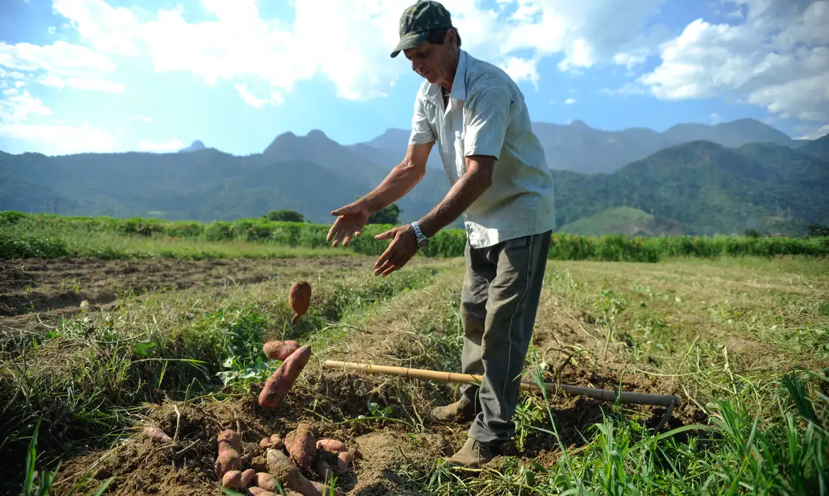 Imagem - Desenrola rural prevê descontos de até 96% em dívidas de agricultores