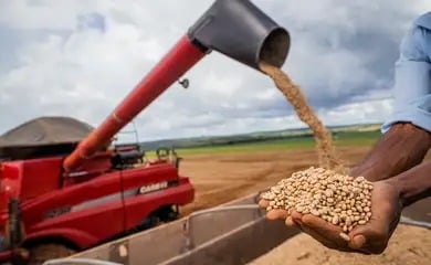 Um projeto prevê o ajuste dos preços mínimos de arroz, feijão e mandioca.