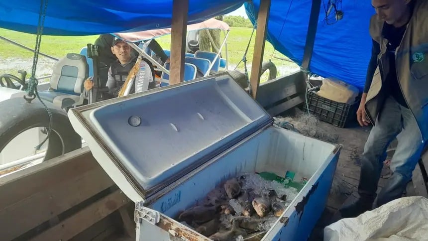 Uma ação integrada apreendeu 70 kg de pescado da espécie Tambaqui, em uma embarcação às margens do Rio Amazonas, em Óbidos.