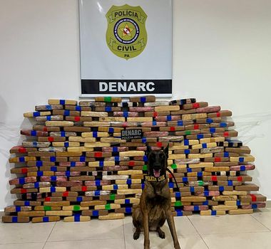 Imagem - Estrangeiro é flagrado com quase 200 quilos de droga, em Ananindeua