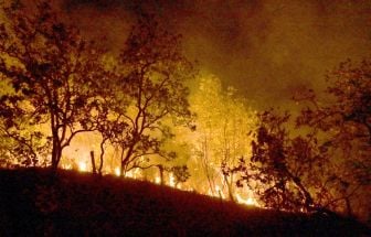 Bombeiros combatem mais de 500 incêndios em região do Brasil; confira