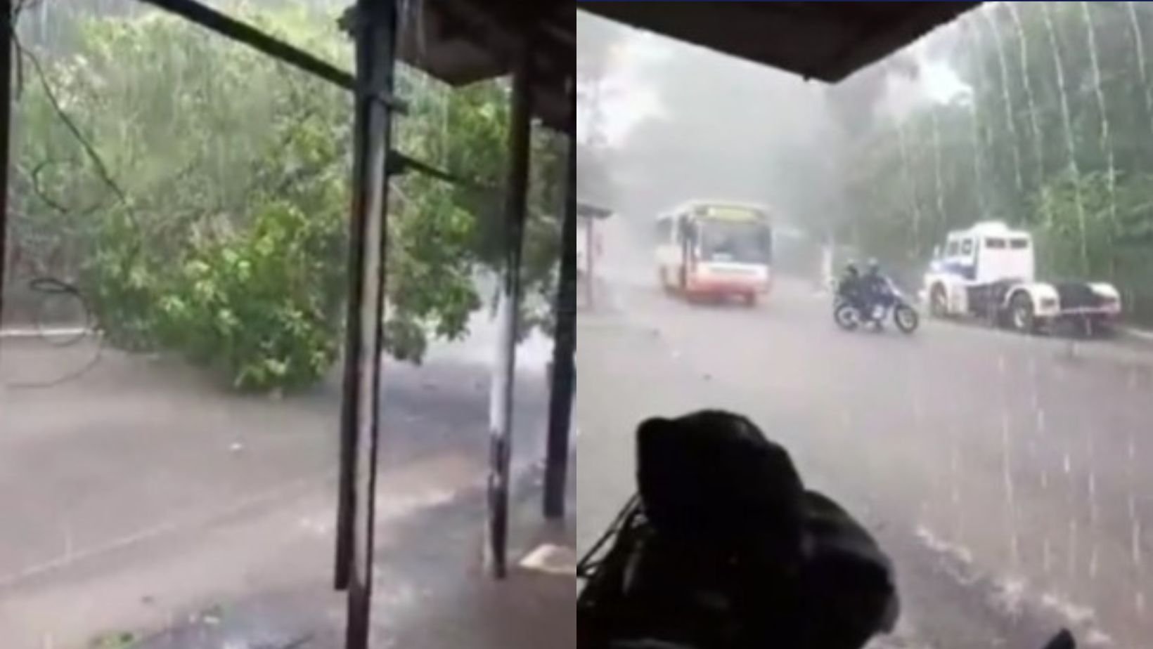 Imagem - Chuva intensa provoca queda de árvore no distrito de Outeiro, em Belém