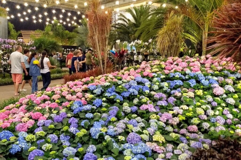 A Festa das Flores é realizada anualmente em novembro (Imagem: Sieghard M. Ennulat | Shutterstock)