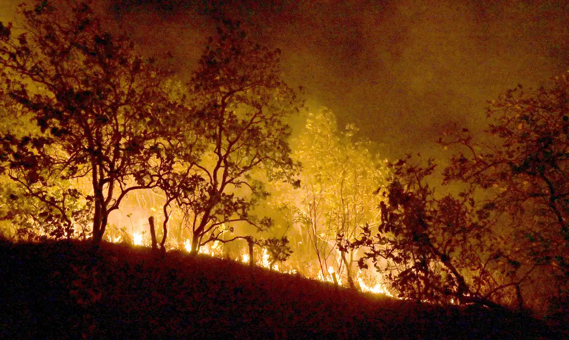 Imagem - Bombeiros combatem mais de 500 incêndios em região do Brasil; confira