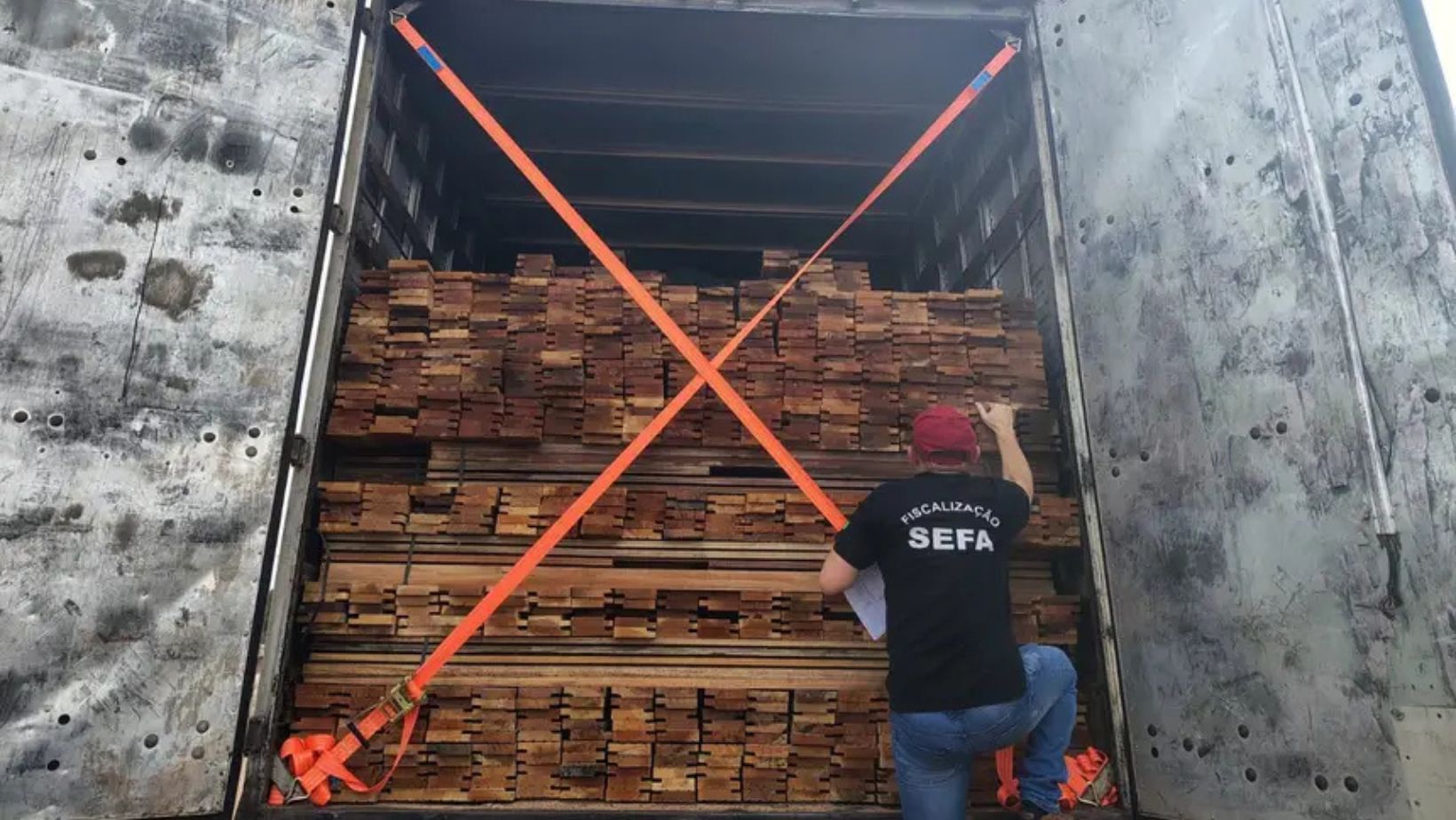 Imagem - 40 metros cúbicos de madeira são apreendidos no Pará