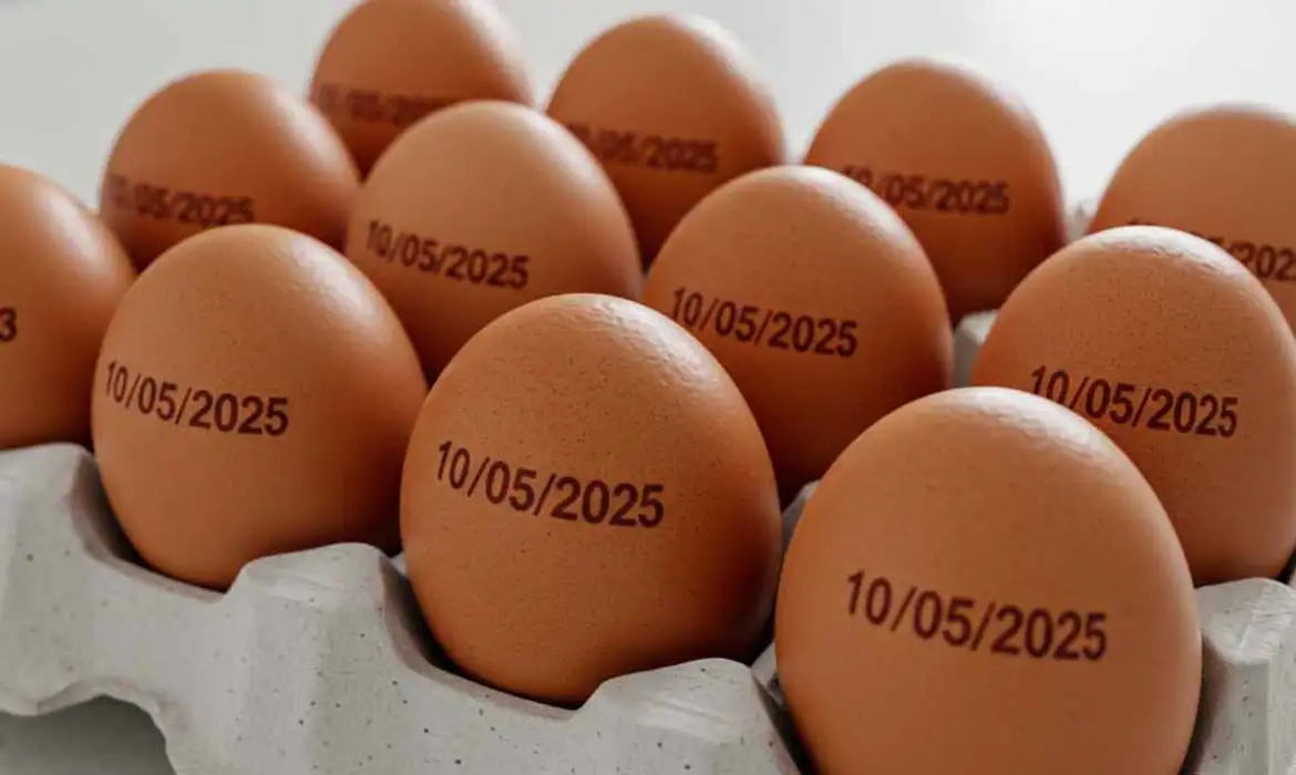 Imagem - Agricultura suspende determinação de carimbar data de validade em ovos