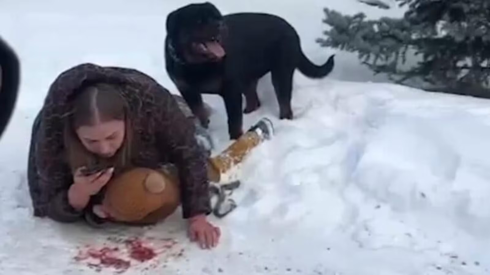 Motoristas que passavam pelo local tentaram ajudar as vítimas, mas o rottweiler também os atacou
