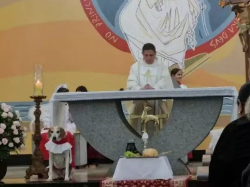 Imagem - Cachorro adotado por padre volta a viralizar em missa; assista