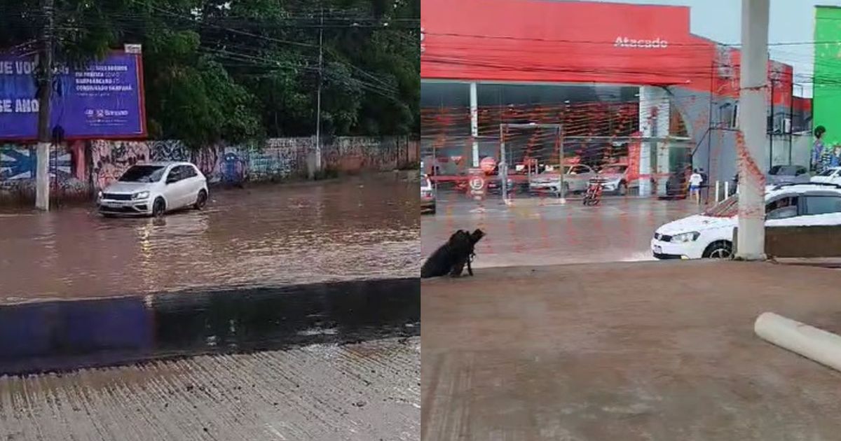 Vídeo: chuva deixa a BR-316 alagada e trânsito fica lento; confira