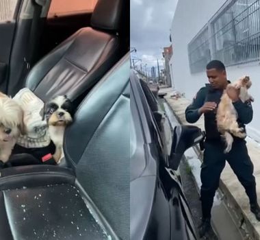 Imagem - PM resgata cachorros presos em carro na Sacramenta, em Belém