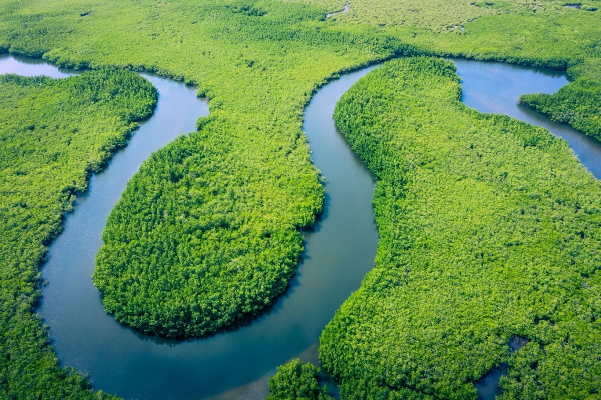O Brasil tem a maior bacia fluvial mundial (Imagem: Curioso.Photograp | Shutterstock)