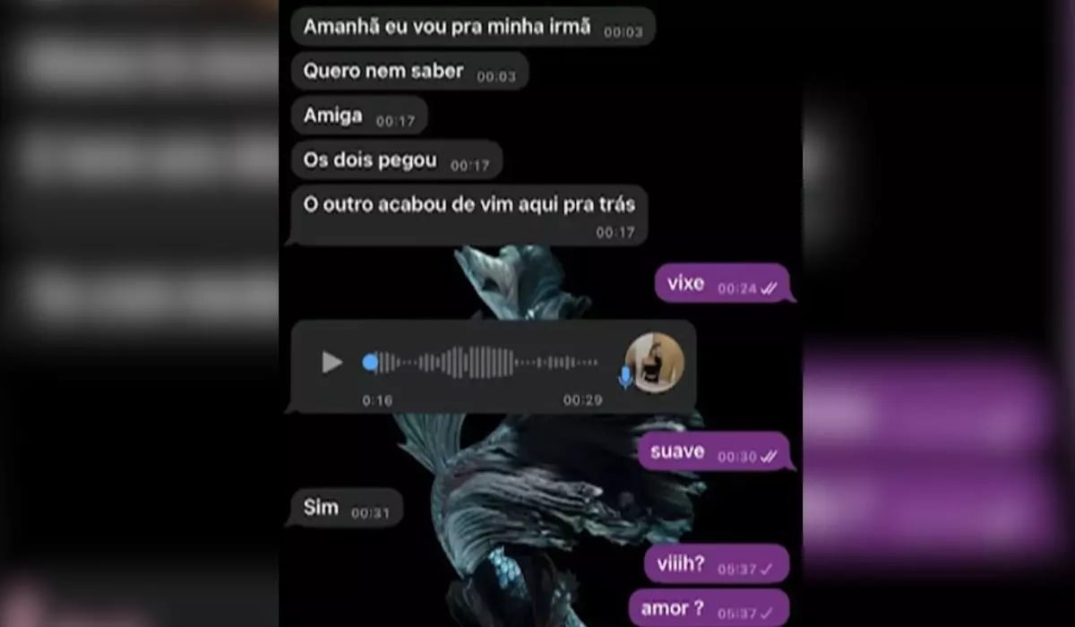 Print 3 da conversa entre Vitória e a amiga no dia em que a jovem desapareceu.