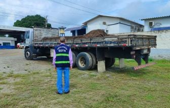 Sefa apreende carga irregular em São Geraldo do Araguaia; saiba mais