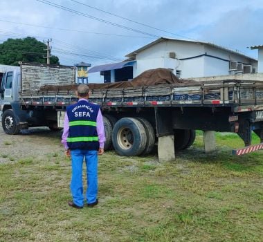 Imagem - Sefa apreende carga irregular em São Geraldo do Araguaia; saiba mais