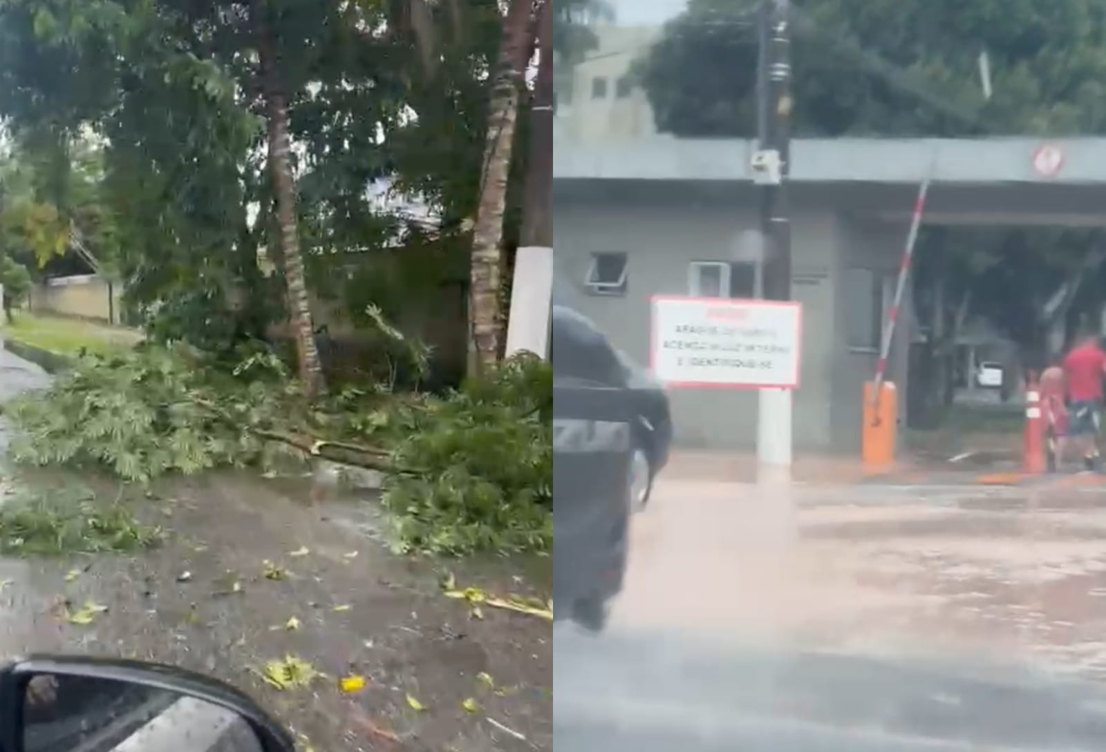 Imagem - Vídeo: Chuva causa transtornos com alagamentos e árvores desgalhadas em Belém