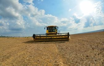 Boletim da Agropecuária aponta o Pará como líder na produção de soja, milho, cacau e búfalos