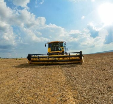 Imagem - Boletim da Agropecuária aponta o Pará como líder na produção de soja, milho, cacau e búfalos