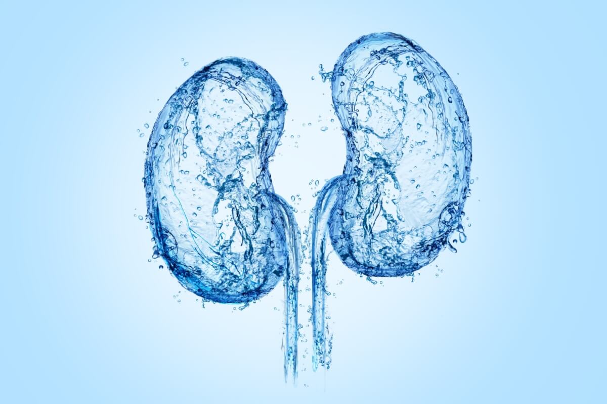 Imagem - Veja os sintomas e como prevenir o câncer renal 