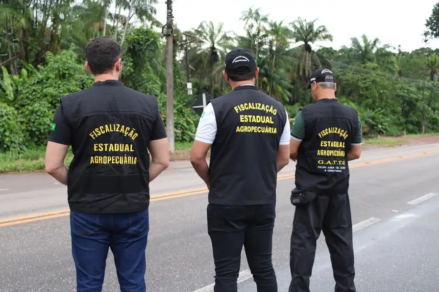 Imagem - Adepará inicia fiscalização de circulação do pescado paraense durante a semana santa