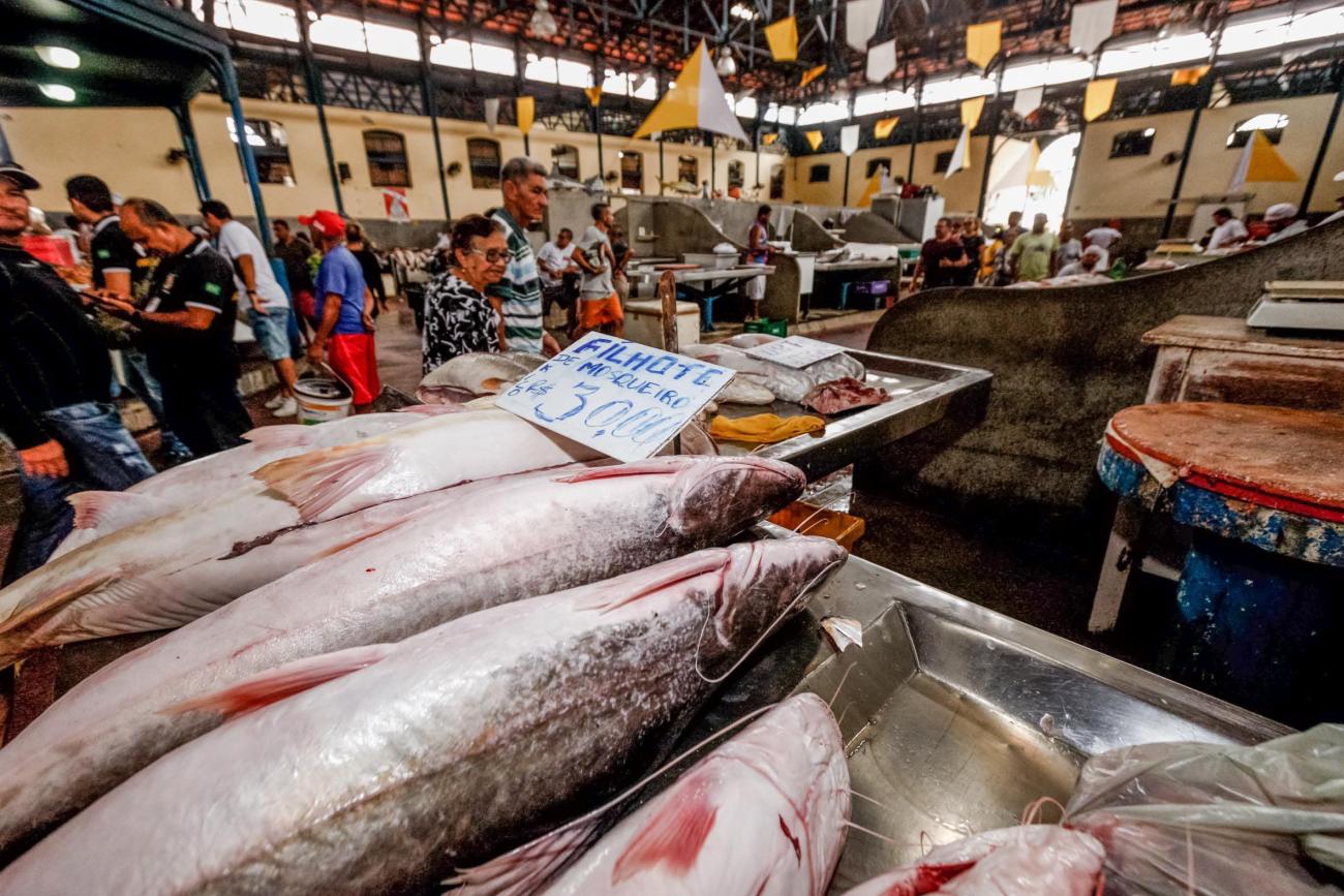 A partir de 3 de abril até 17 de abril de 2025, a saída de todos os tipos de peixe do Pará será restrita.