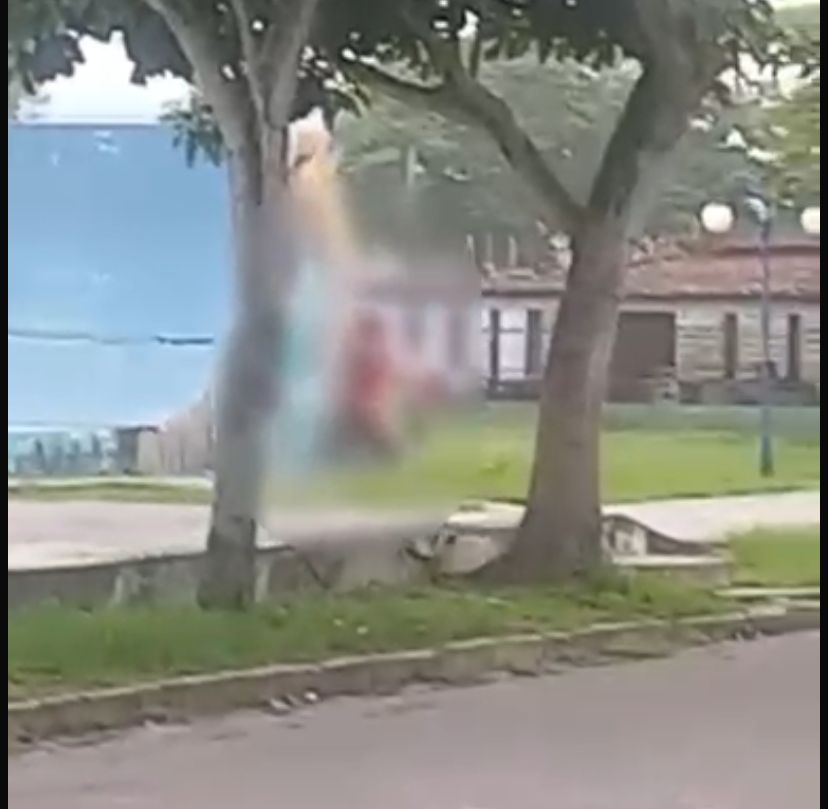 Imagem - Vídeo: homem é flagrado se masturbando em frente à escola de Castanhal, no Pará