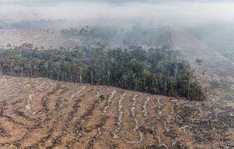 Fundo da Amazônia terá contribuição de R$ 91 milhões da Irlanda