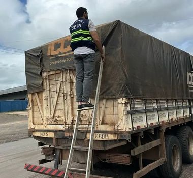 Imagem - Sefa apreende mais de 7 mil garrafas de cachaça na rodovia Transamazônica, no Pará