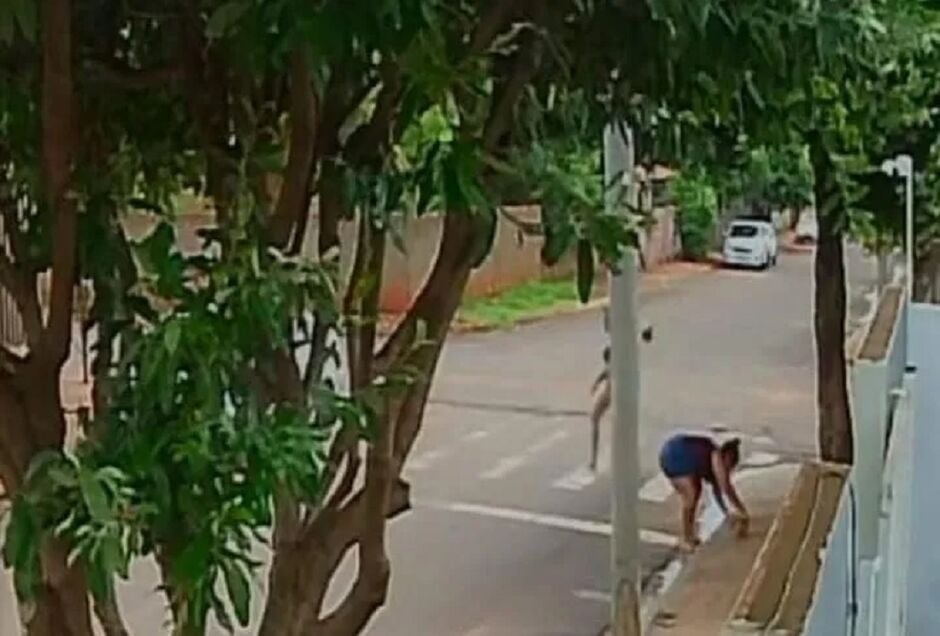 A cachorra do prefeito de Anaurilândia, no Mato Grosso do Sul, foi furtada na frente de sua casa, na última quinta-feira (13). 